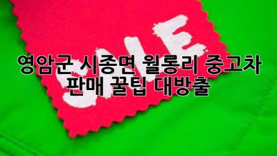 영암군 시종면 월롱리 중고차 판매, 꿀팁 대방출! 🚗💨